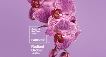 Radiant orchid * Trend color for 2014 by Pantone