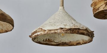 Mushroom mycelium – the unique material to suede-like furniture