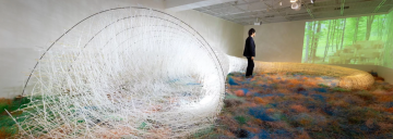 Kengo builds gigantic sea cucumber installation for design Canberra Festival